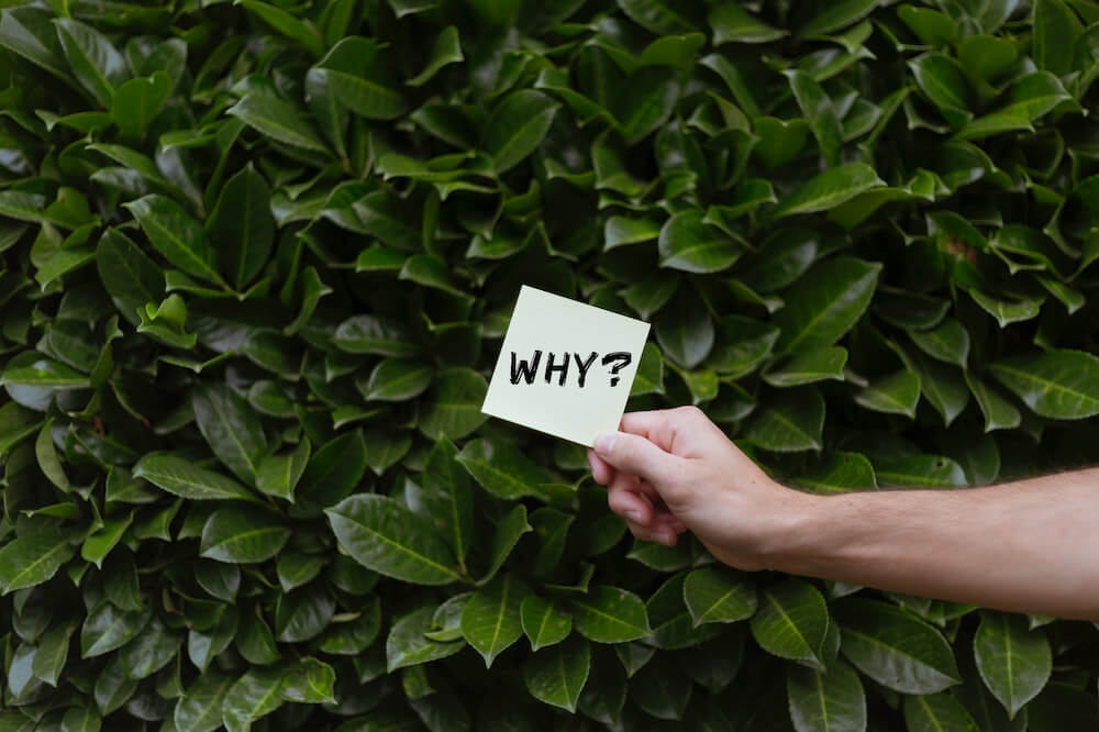 Hand-Asking-why-Personal-Grow