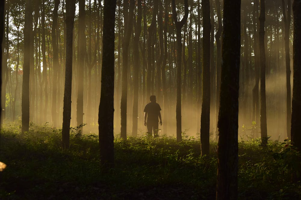 Man-In-forest-overcome-adversity 