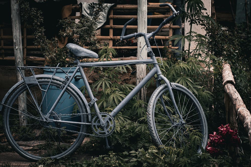 From Chaos to Clarity: How to Stay Mentally Strong in Uncertain Times 5 Uncertain-Times-India-old-bicycle