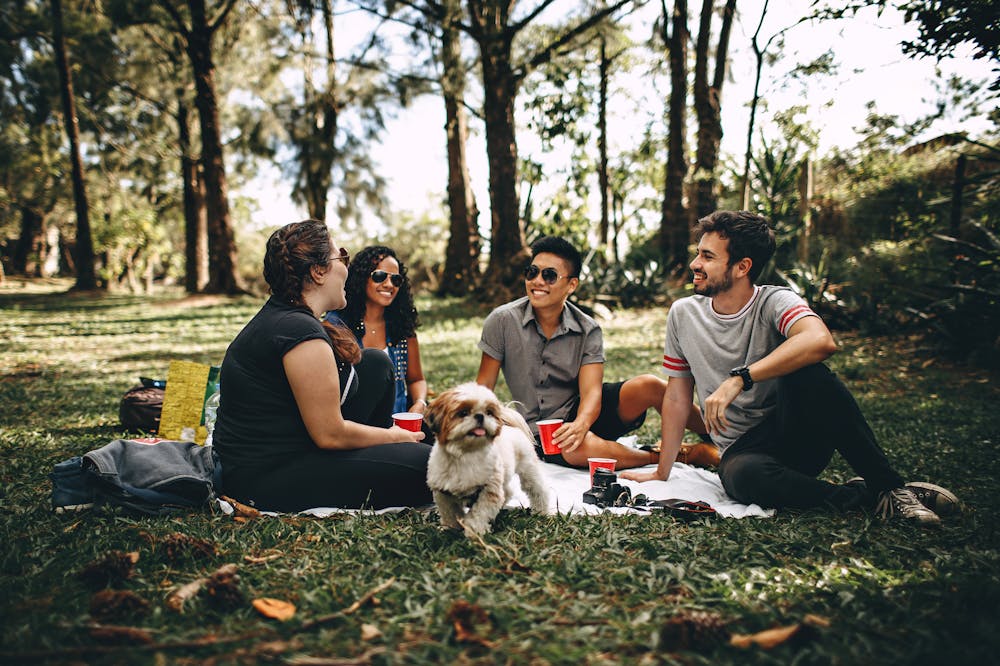 Ghosting-Group-Sitting-Outdoors-Tree