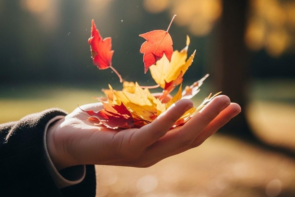 Hand-Letting-Leaves-Fall-From-Hand