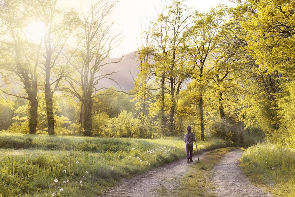 Man-walking-on-a-path