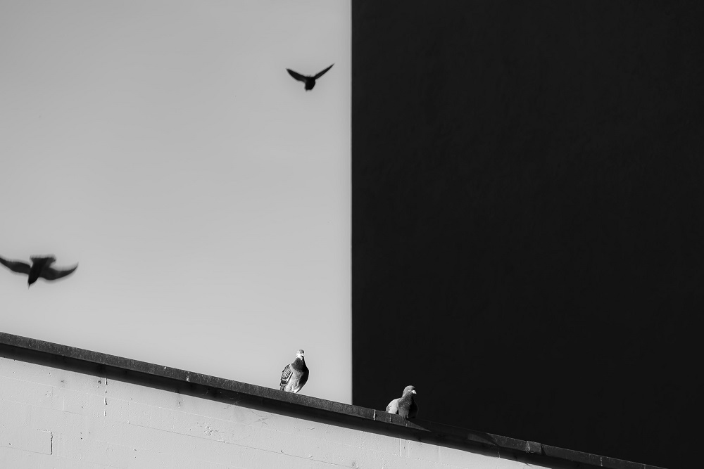 Effectively-Persuasive-contrast-power